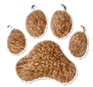 Julie's Royal Cavapoos Julie's Royal Cavapoos Julie's Royal Cavapoos
