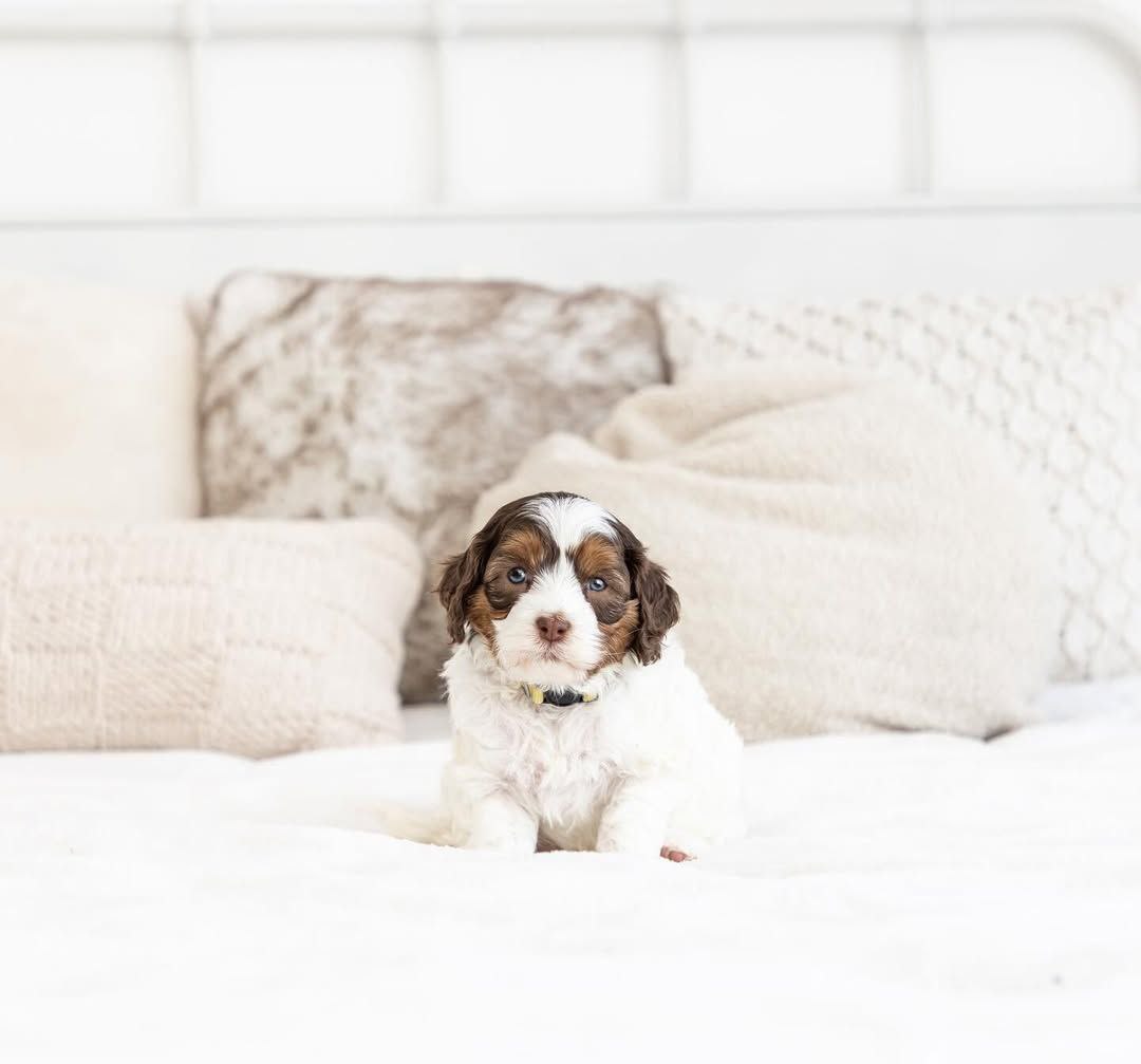 photo_2025-06-24_15-41-43